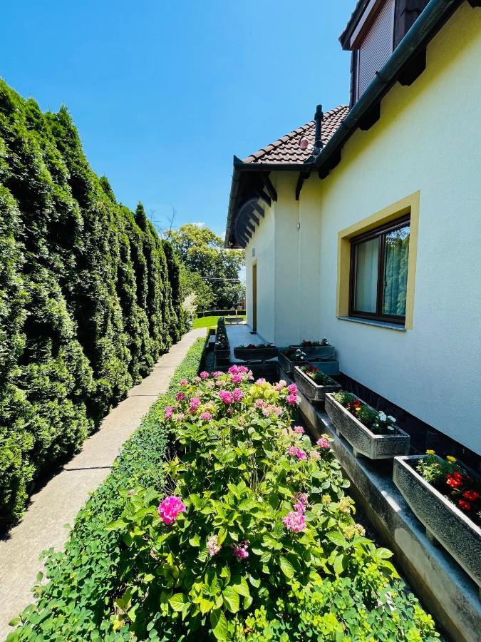 Mikes Deluxe Home Balatonfured Exterior photo